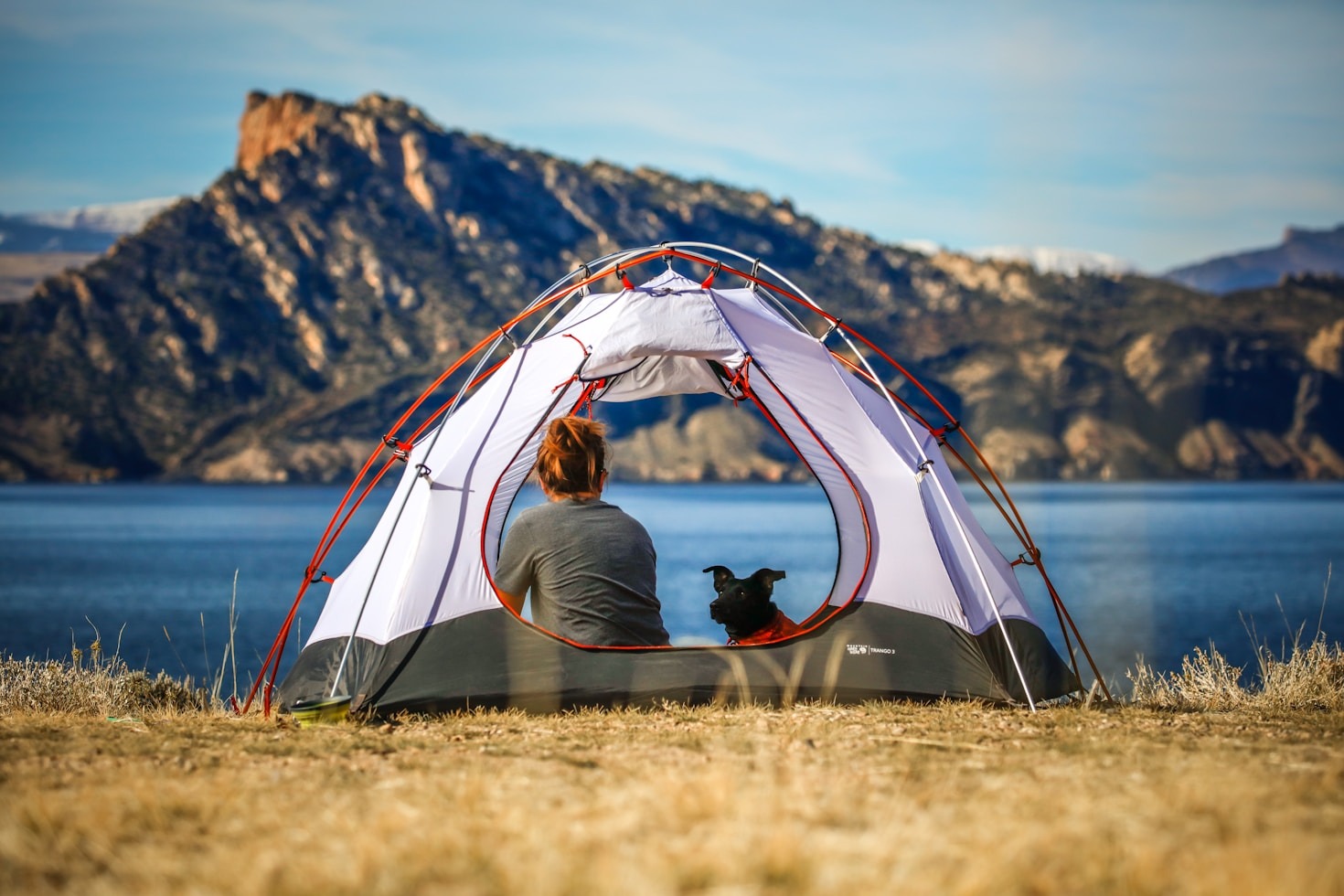 Why Homesteading is the New Self-Care